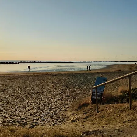 Sake' * Σενιγκάλια