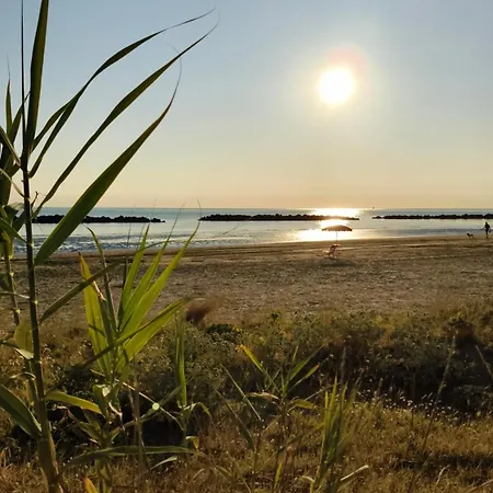 Sake' * Σενιγκάλια