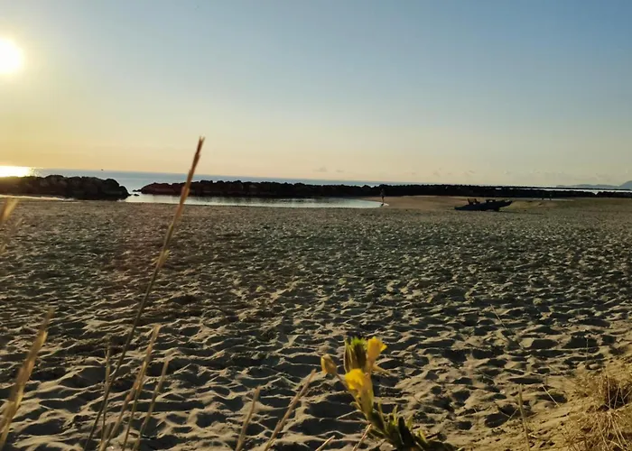 Sake' Daire Senigallia