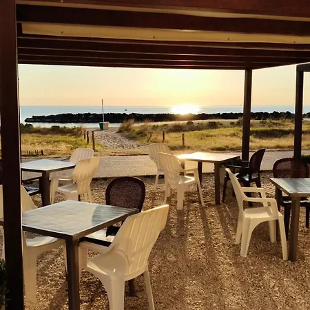 Sake' Senigallia