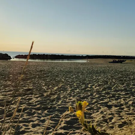Sake' Appartamento Senigallia