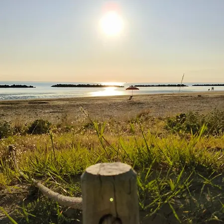 Sake' Senigallia