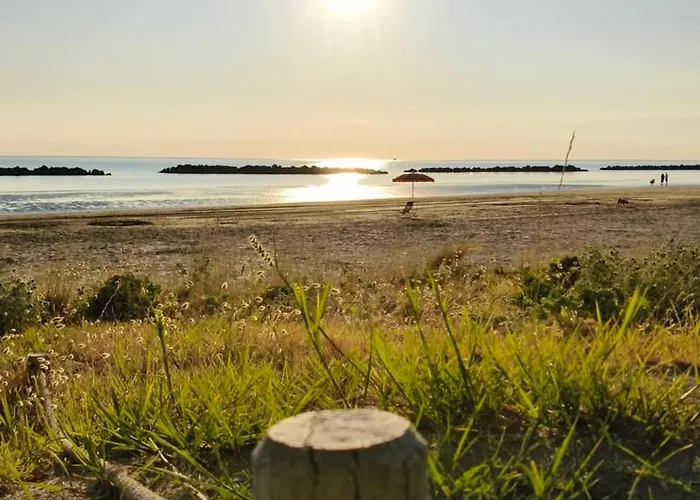 Sake' סניגליה